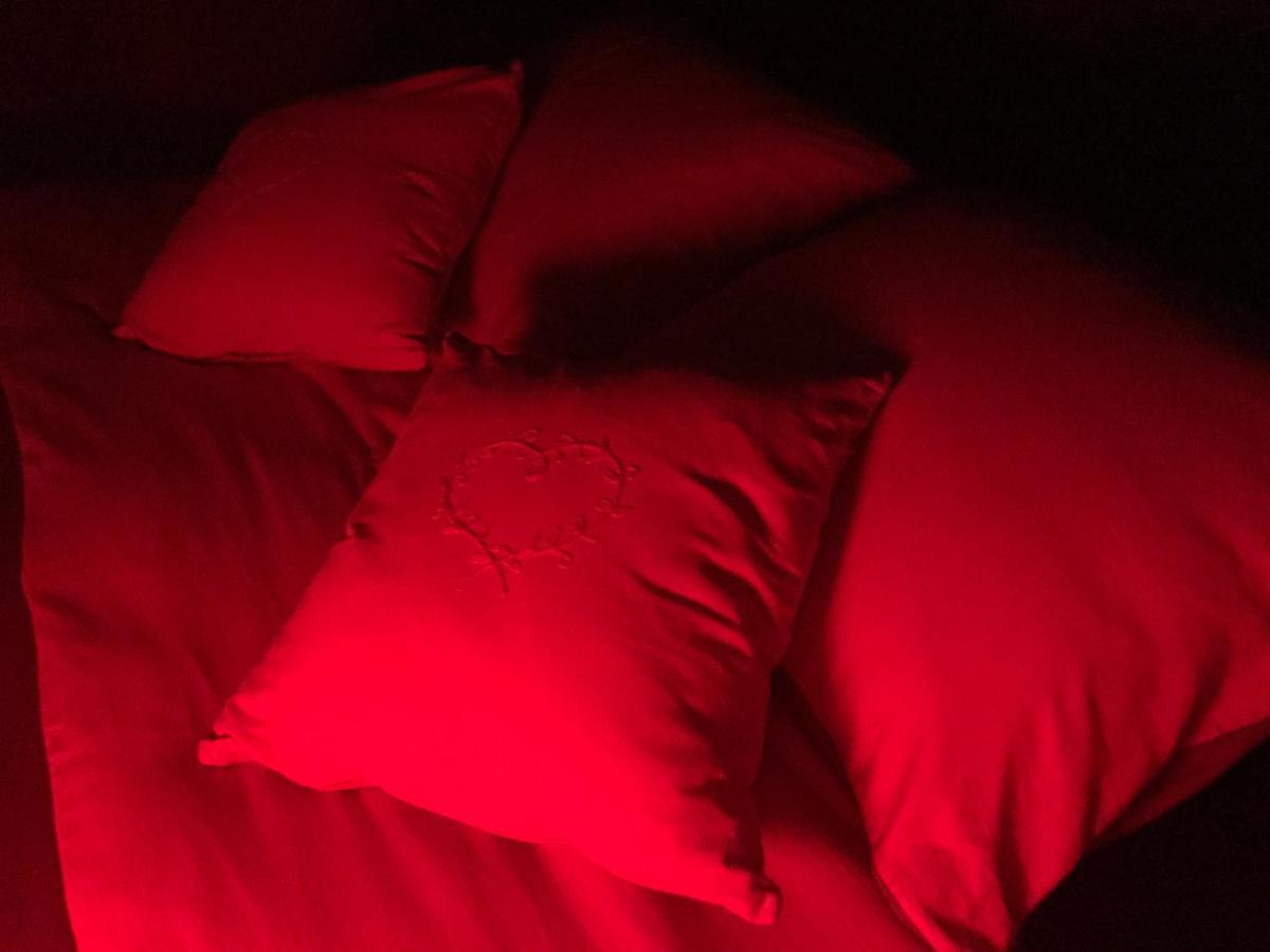 Bulle D Evasion Silly Pres De Pairi Daiza Bed & Breakfast エクステリア 写真