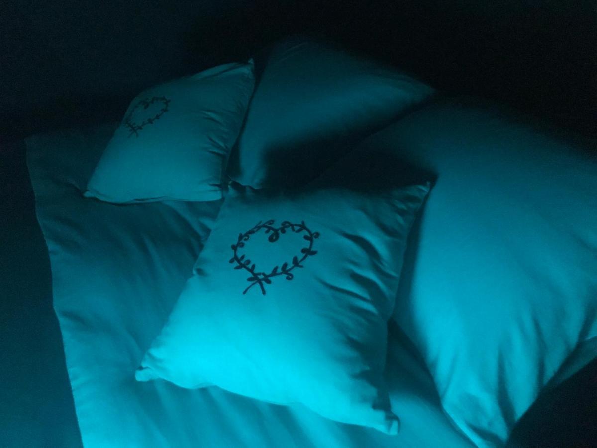 Bulle D Evasion Silly Pres De Pairi Daiza Bed & Breakfast エクステリア 写真