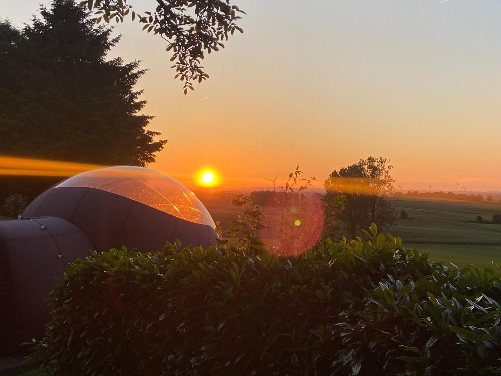 Bulle D Evasion Silly Pres De Pairi Daiza Bed & Breakfast エクステリア 写真